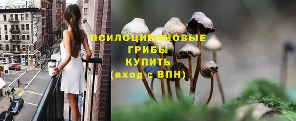 MESCALINE Осинники
