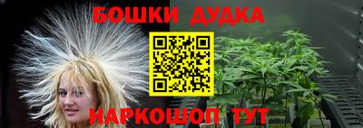 индика Будённовск