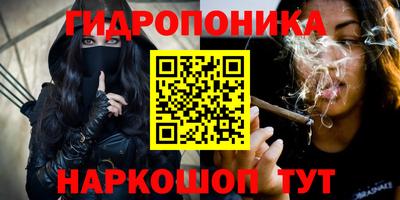 индика Будённовск