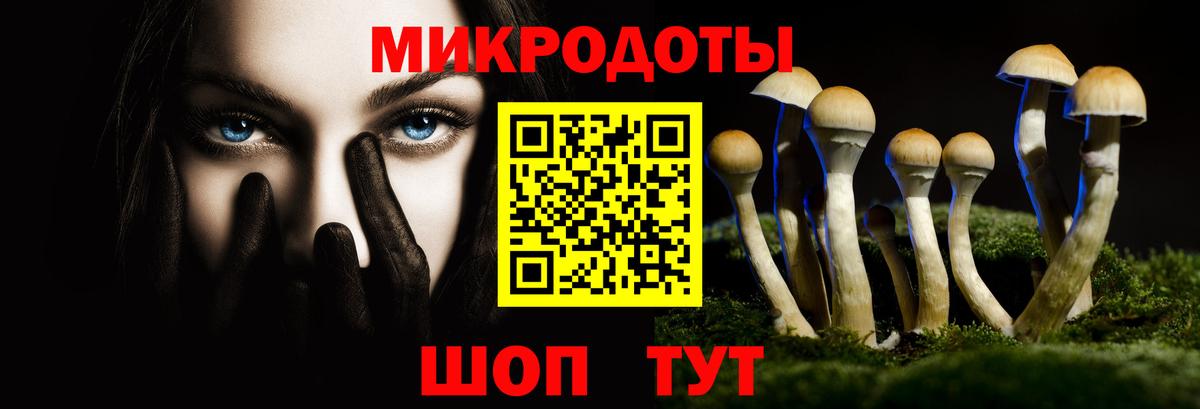 Псилоцибиновые грибы Cubensis Мурманск